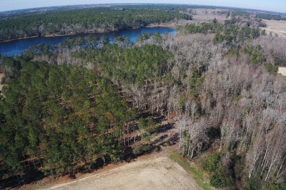 2249 Joann Branch Road Dillon, SC 29536 - Photo 25 of 31