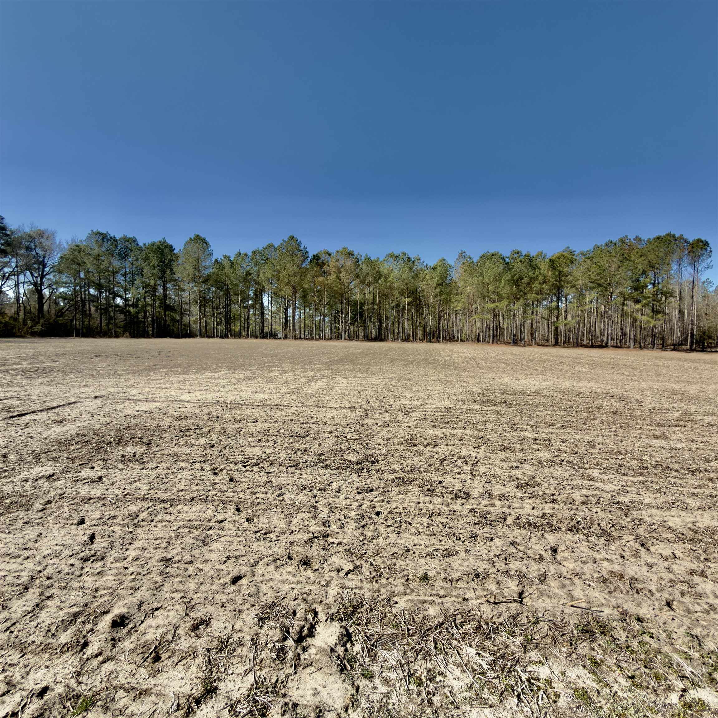 2249 Joann Branch Road Dillon, SC 29536 - Photo 3 of 31