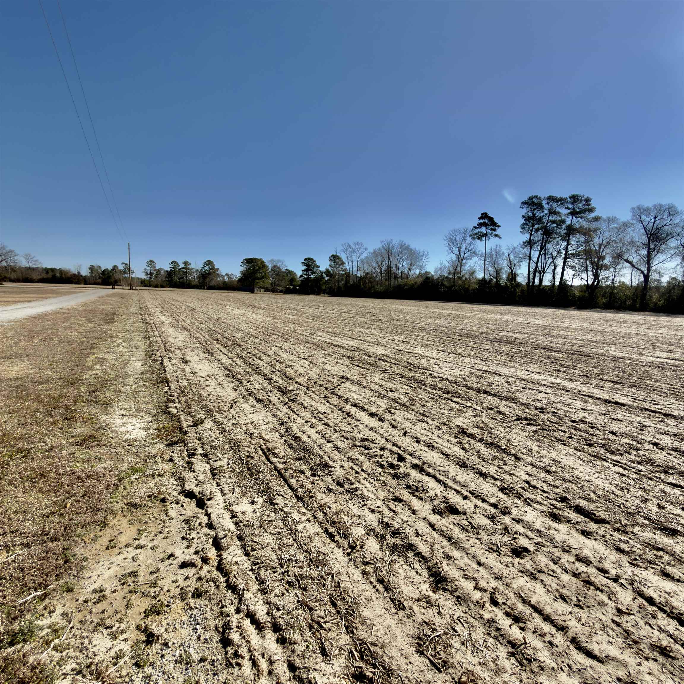 2249 Joann Branch Road Dillon, SC 29536 - Photo 4 of 31