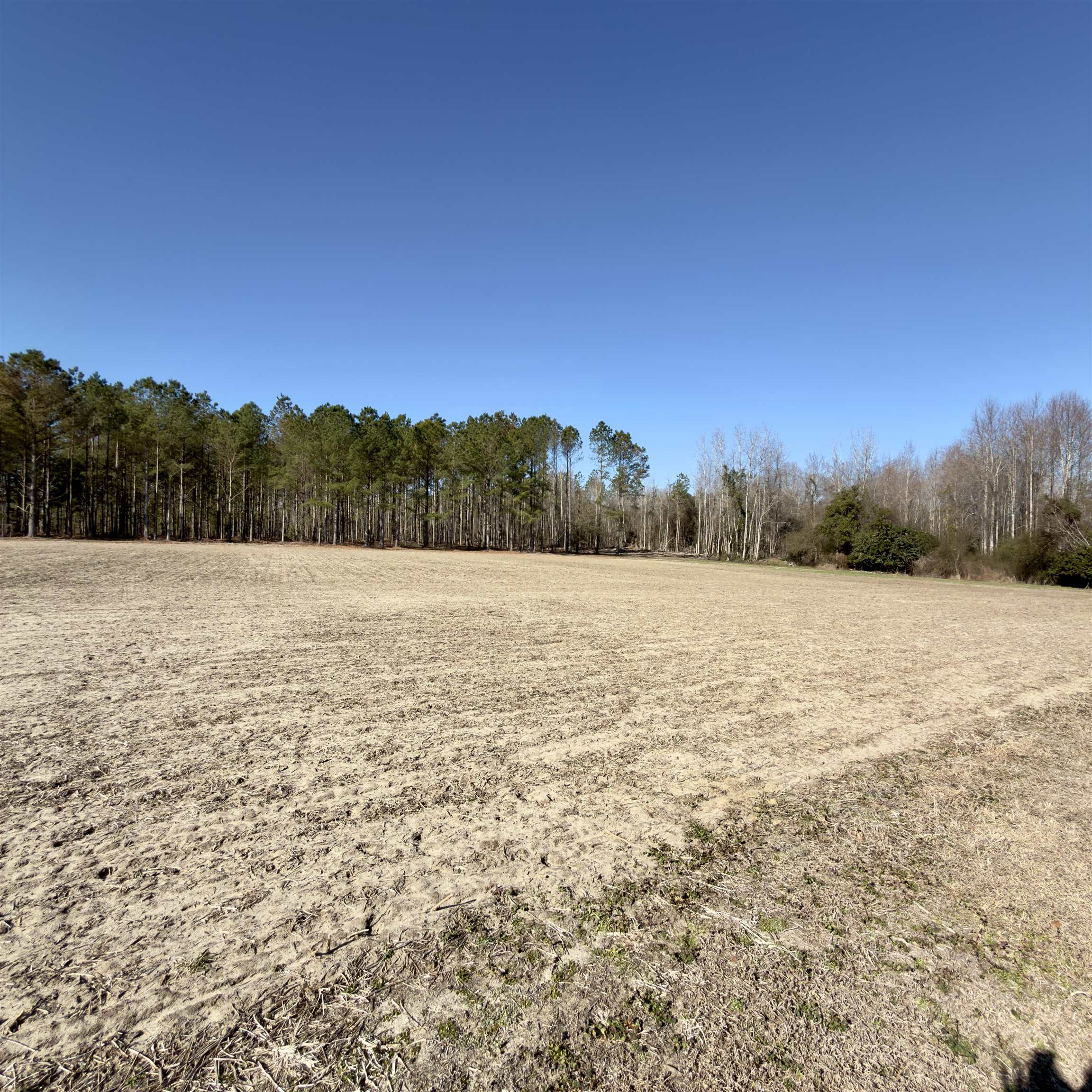 2249 Joann Branch Road Dillon, SC 29536 - Photo 5 of 31