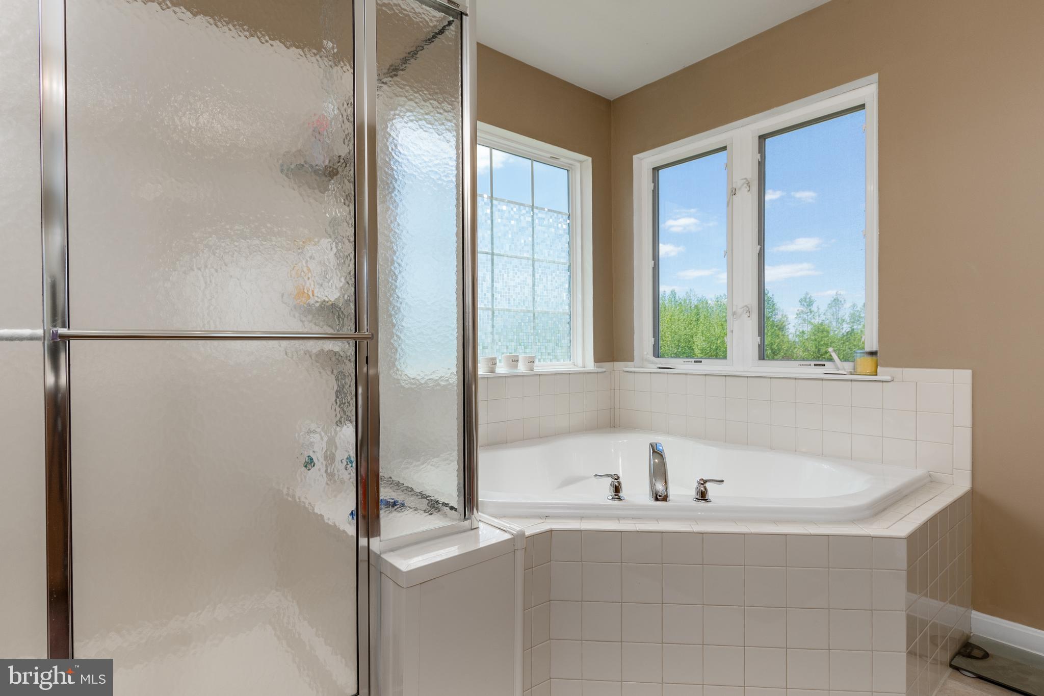 24896 Rivers Edge Road Millsboro, DE 19966 - Photo 21 of 40 Bath Fitters Shower, plus Soaking Tub