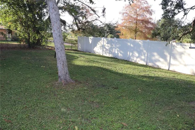 a view of a yard with large trees