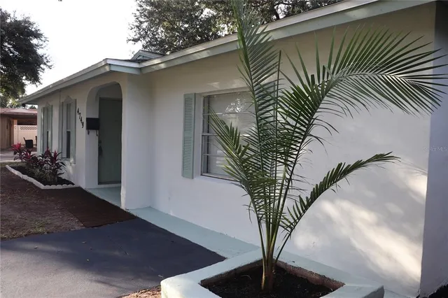 a plant in a vase of the house