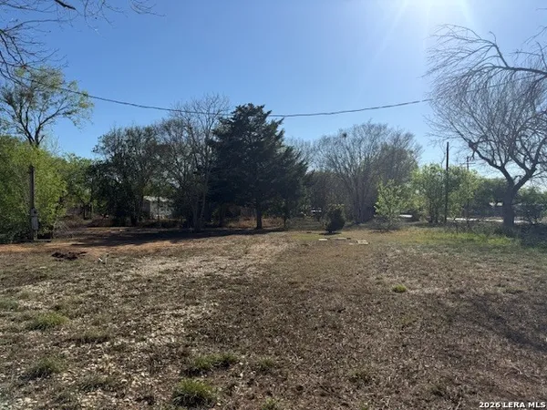 a view of a backyard with large trees