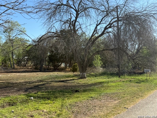 910 Chestnut Street Jourdanton, TX 78026 - Photo 3 of 8