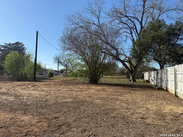 a view of a yard with a tree