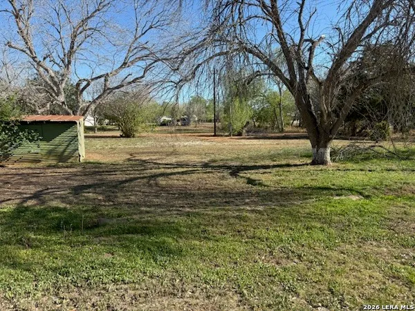 a view of dirt yard with a large tree