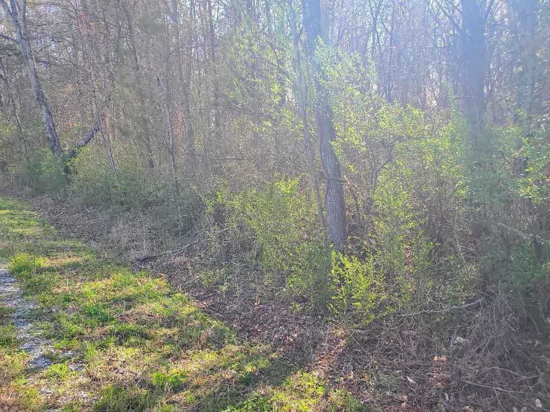 2 Highway 304 Decatur, TN 37322 - Photo 1 of 8