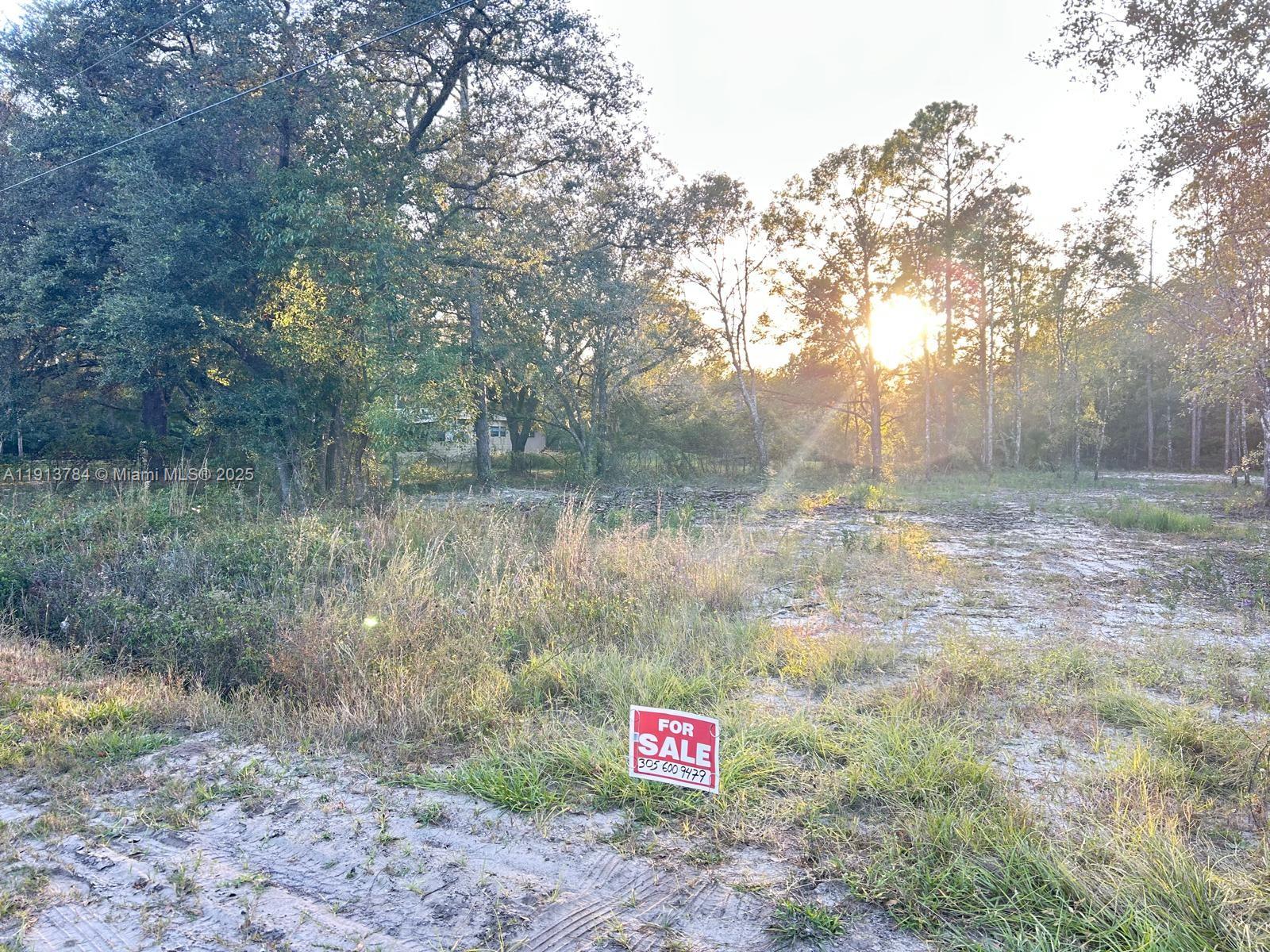 9855 Light Avenue Hastings, FL 32145 - Photo 3 of 5 a view of a lake with a trees