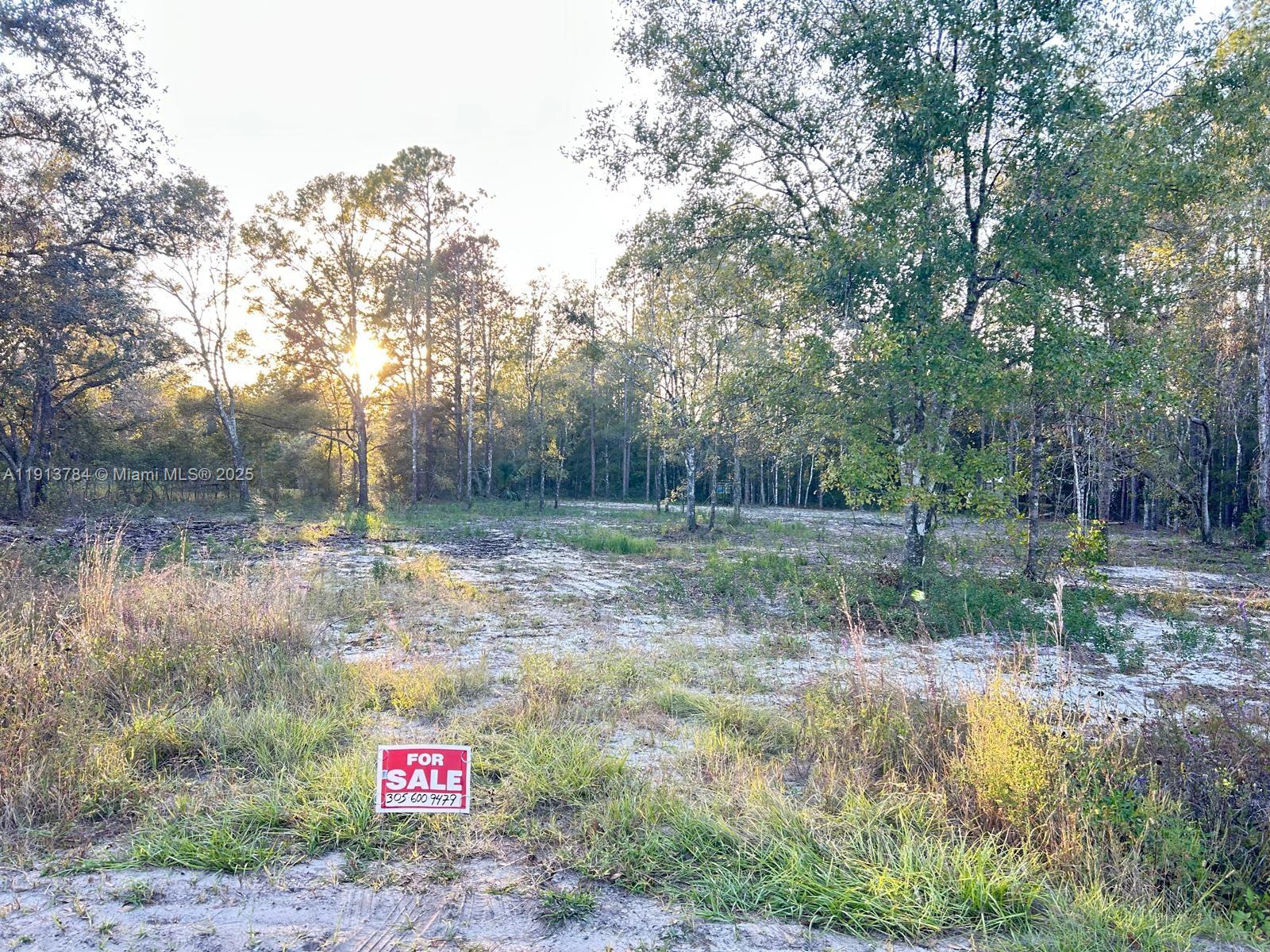 9855 Light Avenue Hastings, FL 32145 - Photo 5 of 5 a view of open kitchen with green space