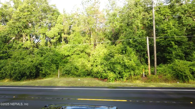 a view of a yard from a window