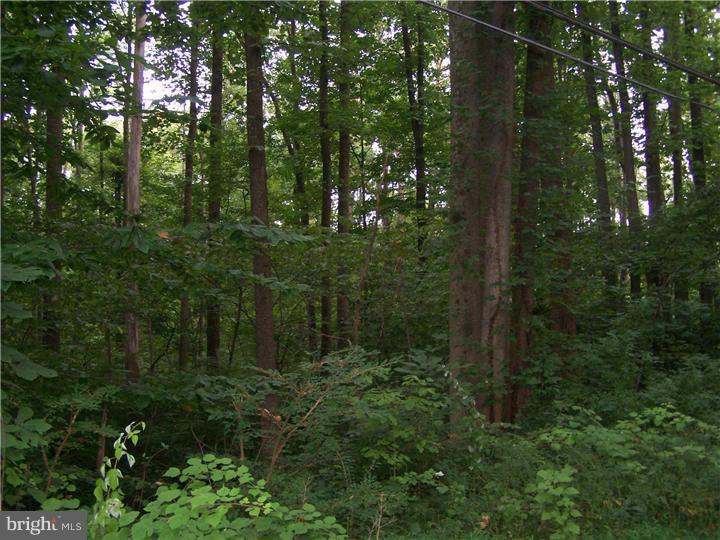 2430 Schaffer Road Pottstown, PA 19464 - Photo 1 of 14 Gallery Image 1