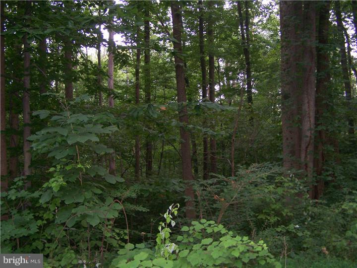 2430 Schaffer Road Pottstown, PA 19464 - Photo 2 of 14 Gallery Image 2