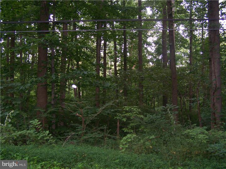 2430 Schaffer Road Pottstown, PA 19464 - Photo 11 of 14 Gallery Image 11