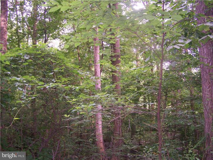 2430 Schaffer Road Pottstown, PA 19464 - Photo 4 of 14 Gallery Image 4