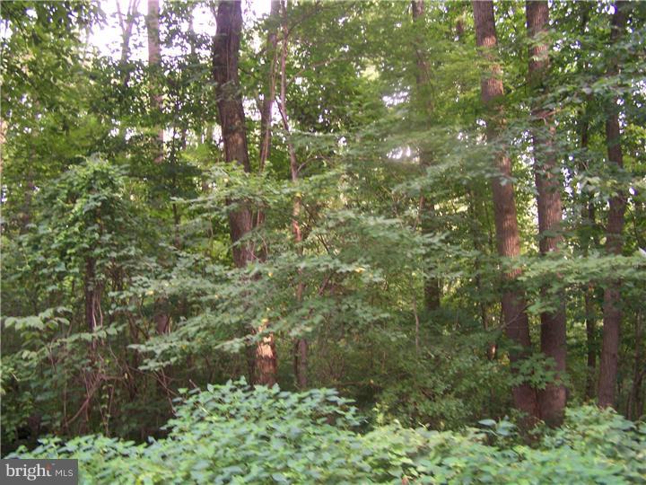 2430 Schaffer Road Pottstown, PA 19464 - Photo 5 of 14 Gallery Image 5