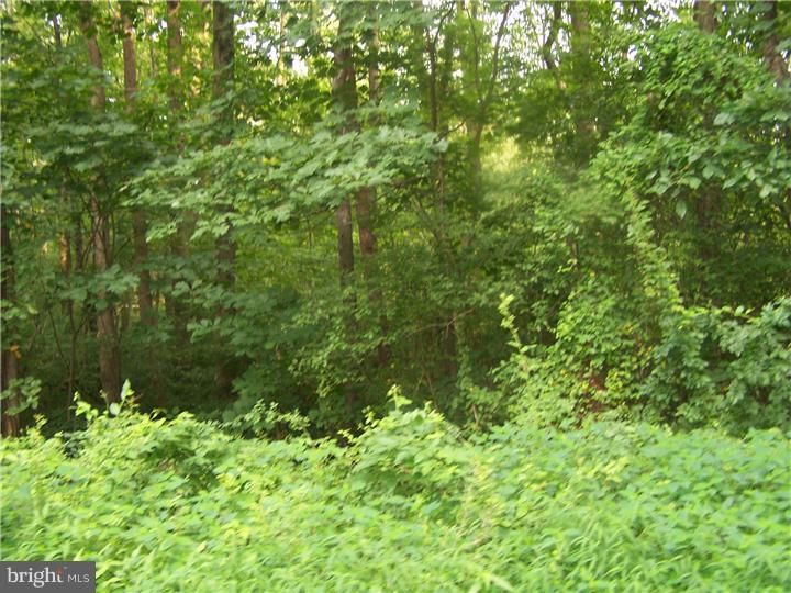 2430 Schaffer Road Pottstown, PA 19464 - Photo 6 of 14 Gallery Image 6