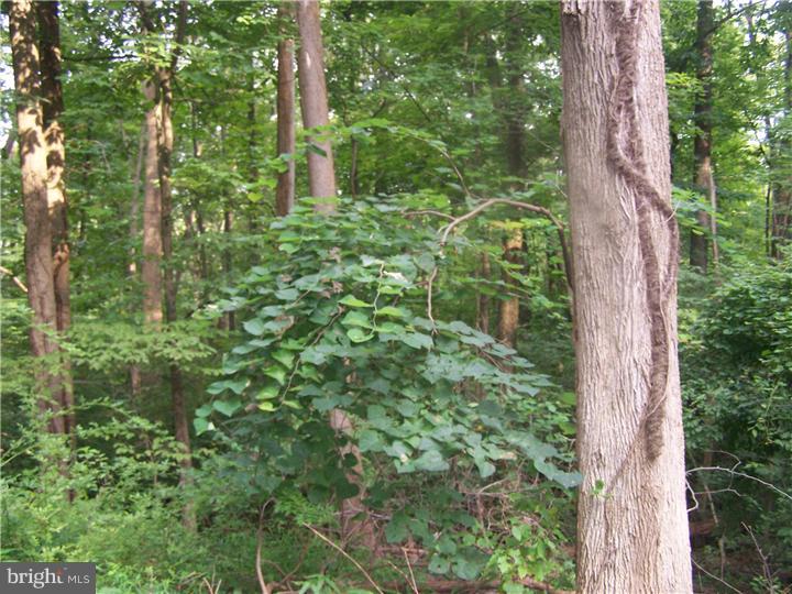 2430 Schaffer Road Pottstown, PA 19464 - Photo 7 of 14 Gallery Image 7