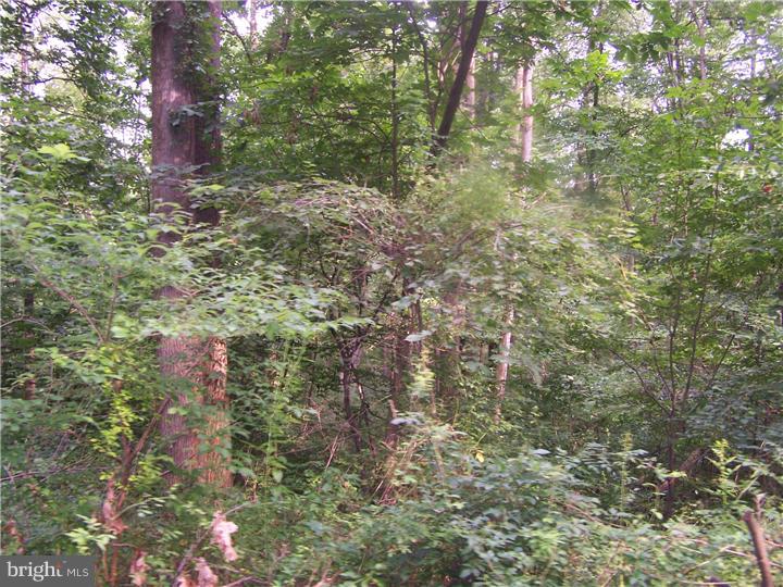 2430 Schaffer Road Pottstown, PA 19464 - Photo 8 of 14 Gallery Image 8
