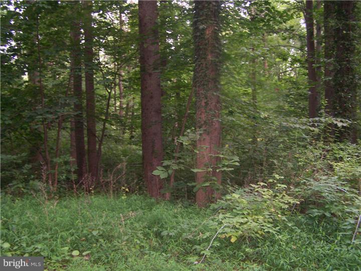 2430 Schaffer Road Pottstown, PA 19464 - Photo 9 of 14 Gallery Image 9