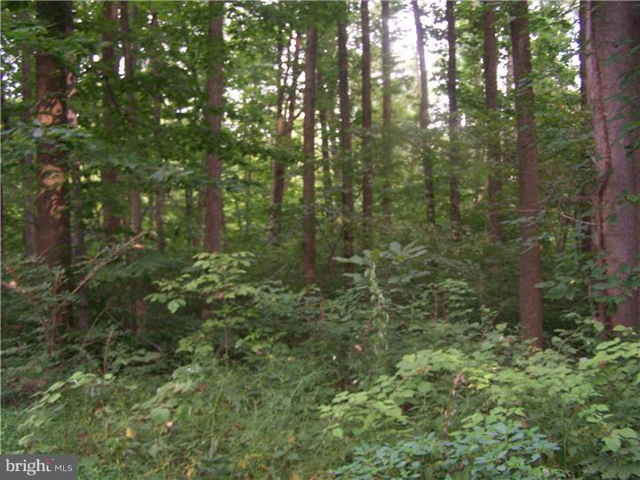 2430 Schaffer Road Pottstown, PA 19464 - Photo 10 of 14 Gallery Image 10