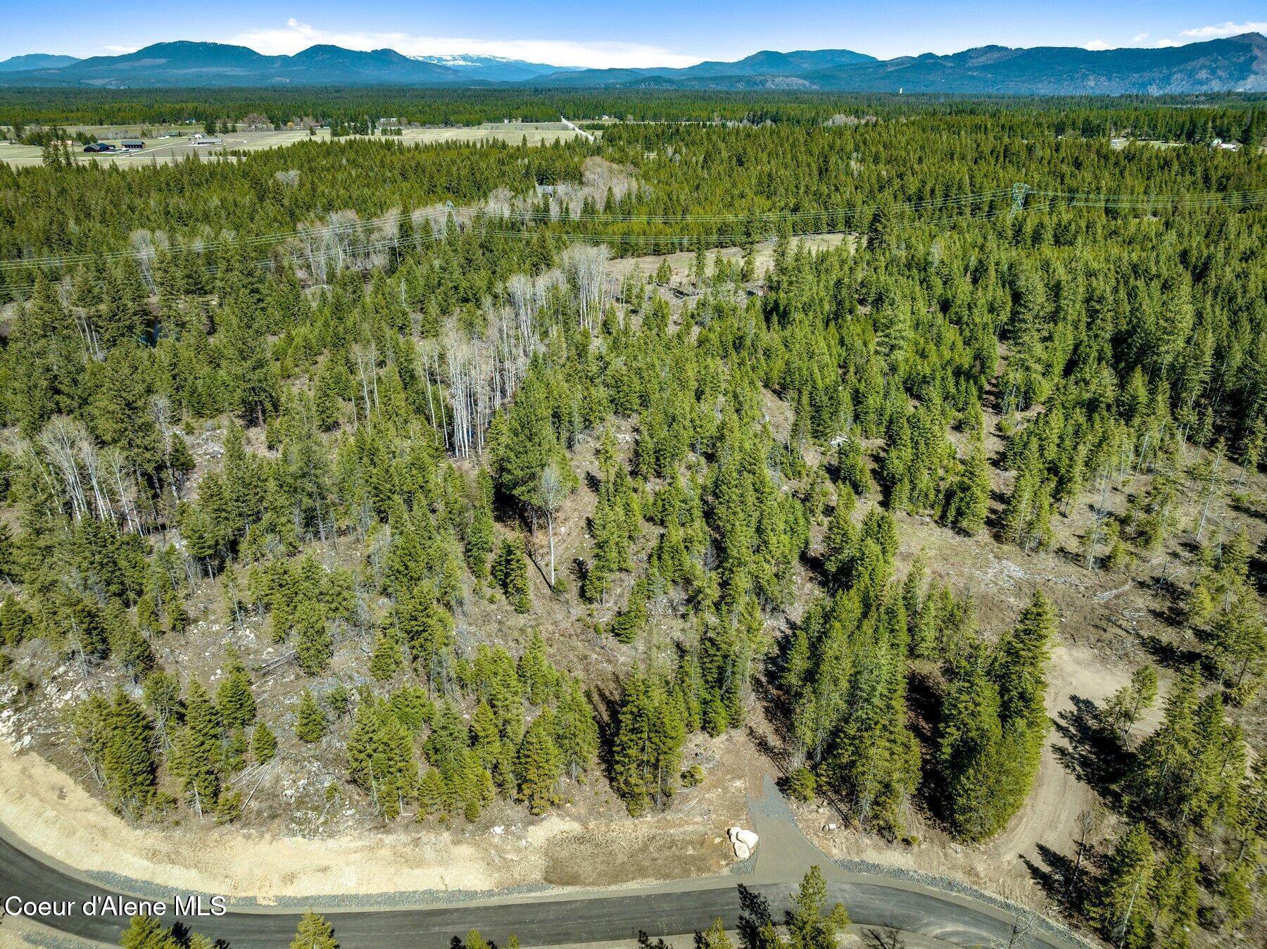 Nka Nka Dickens Road Athol, ID 83801 - Photo 4 of 44 20250416191357987313000000-o