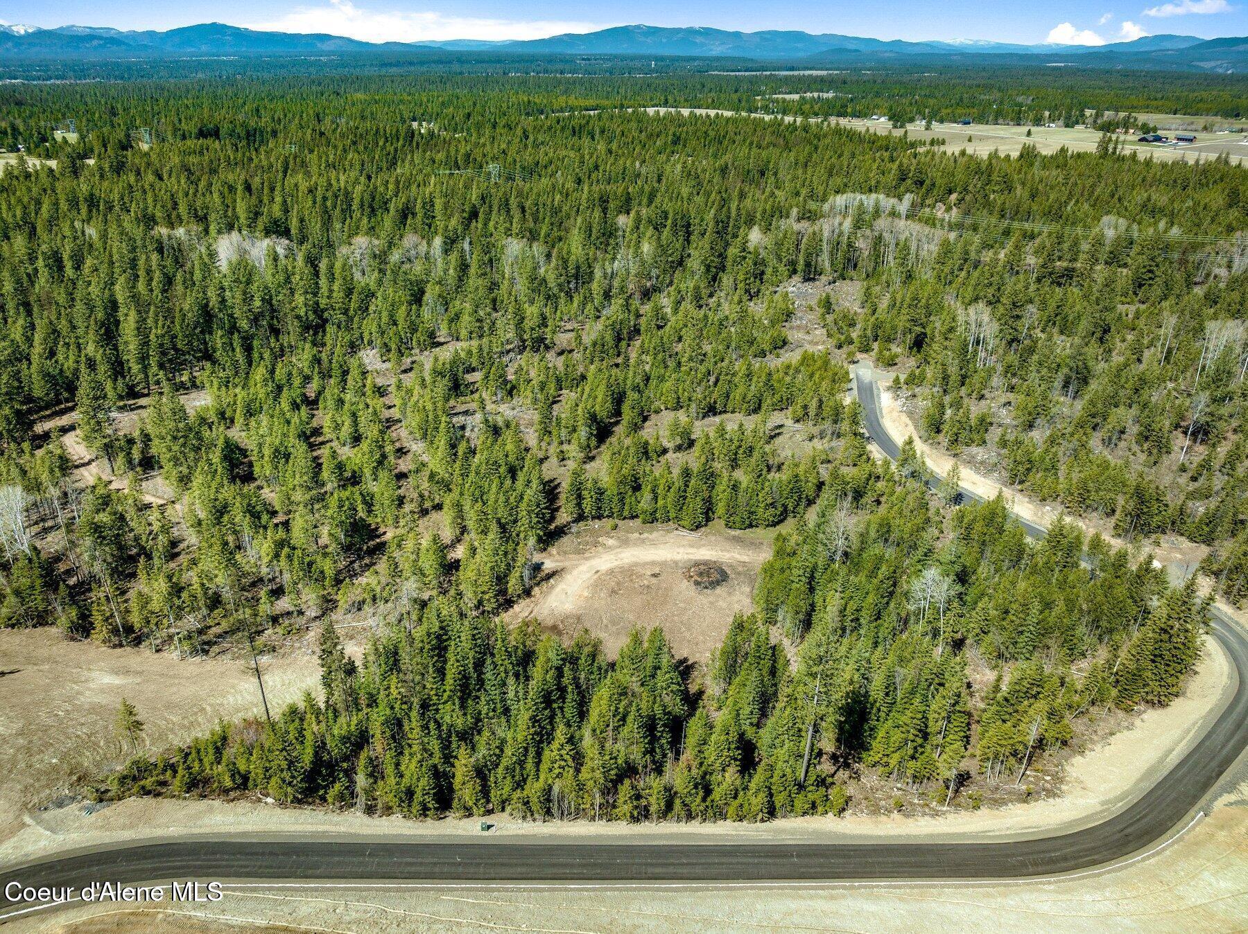 Nka Nka Dickens Road Athol, ID 83801 - Photo 6 of 44 20250416191352859402000000-o