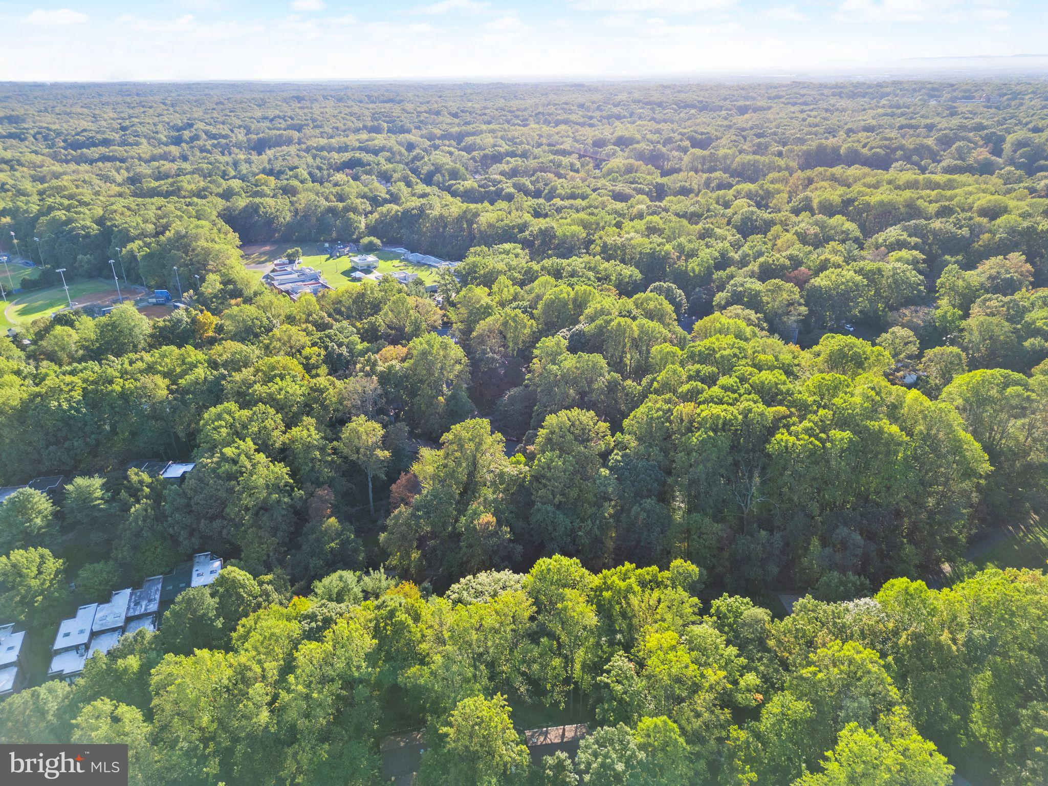 2074 Amberjack Court Reston, VA 20191 - Photo 81 of 96 Gallery Image 81