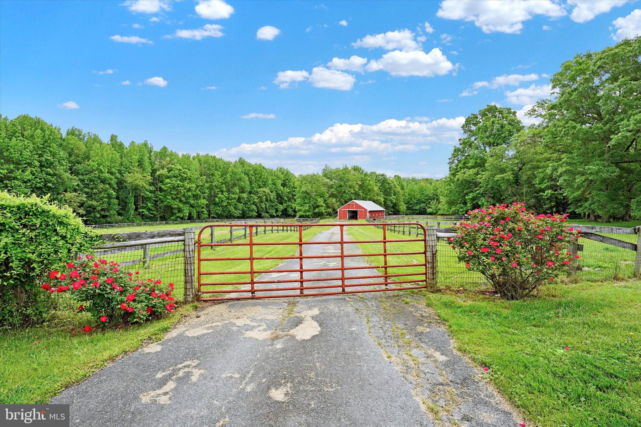 535 Nottingham Road Elkton, MD 21921 - Photo 28 of 44 Gated Lane leads to Barn and Pastures
