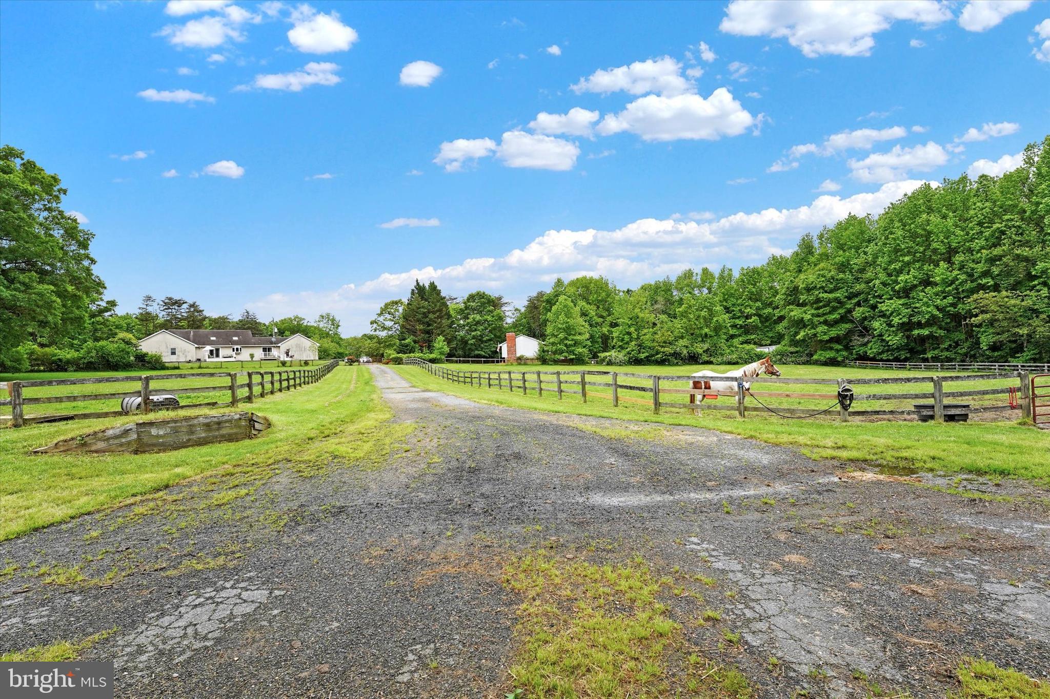 535 Nottingham Road Elkton, MD 21921 - Photo 36 of 44 6-7 Acres of Fenced Pastures