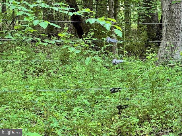 535 Nottingham Road Elkton, MD 21921 - Photo 39 of 44 High Tensile Fencing-Property Rear Perimeter