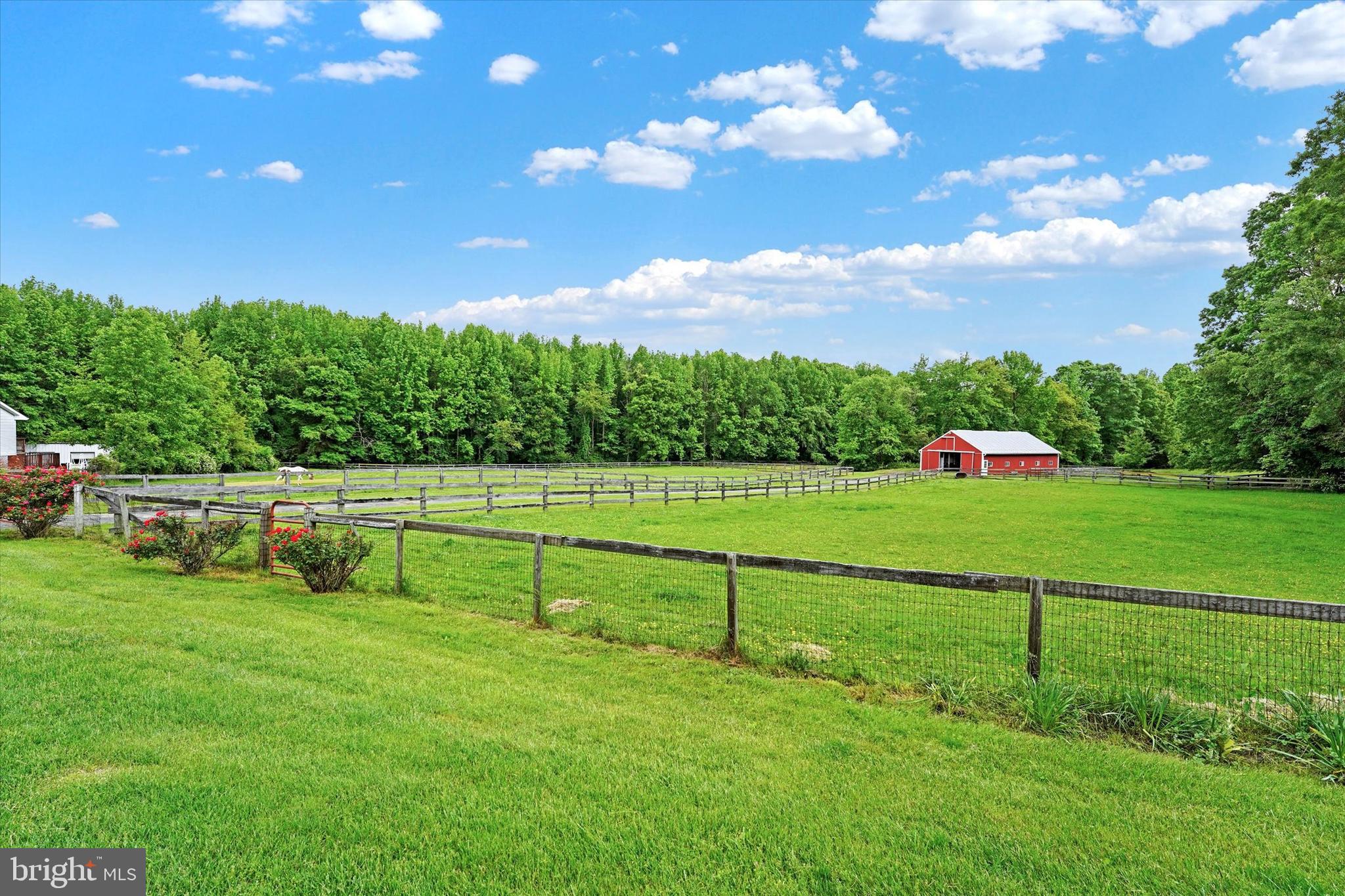 535 Nottingham Road Elkton, MD 21921 - Photo 4 of 44 Picturesque View of Pastures & Barn from Residence