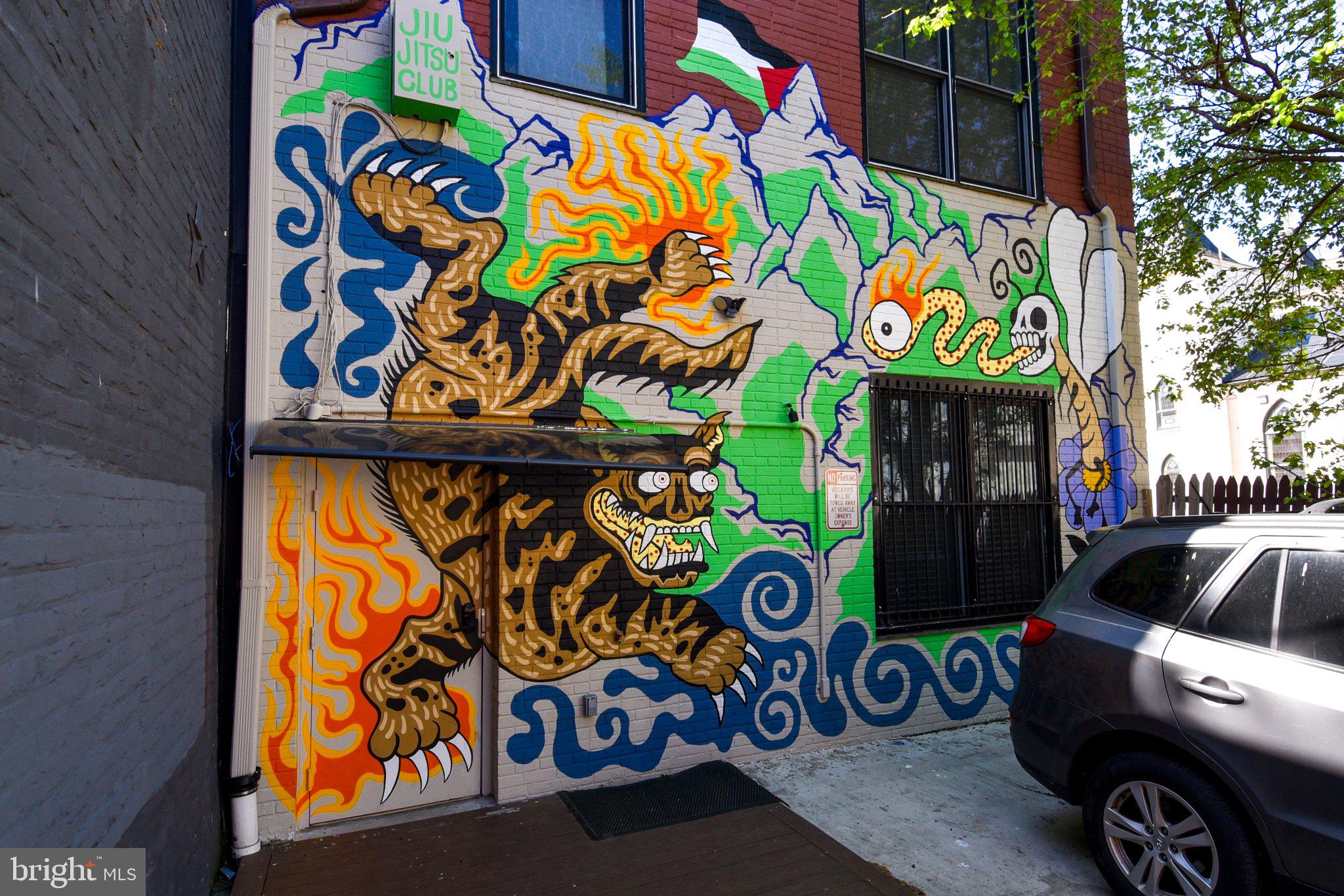 1316 9th Street Northwest Washington, DC 20001 - Photo 5 of 44 Vibrant mural of a fierce tiger.