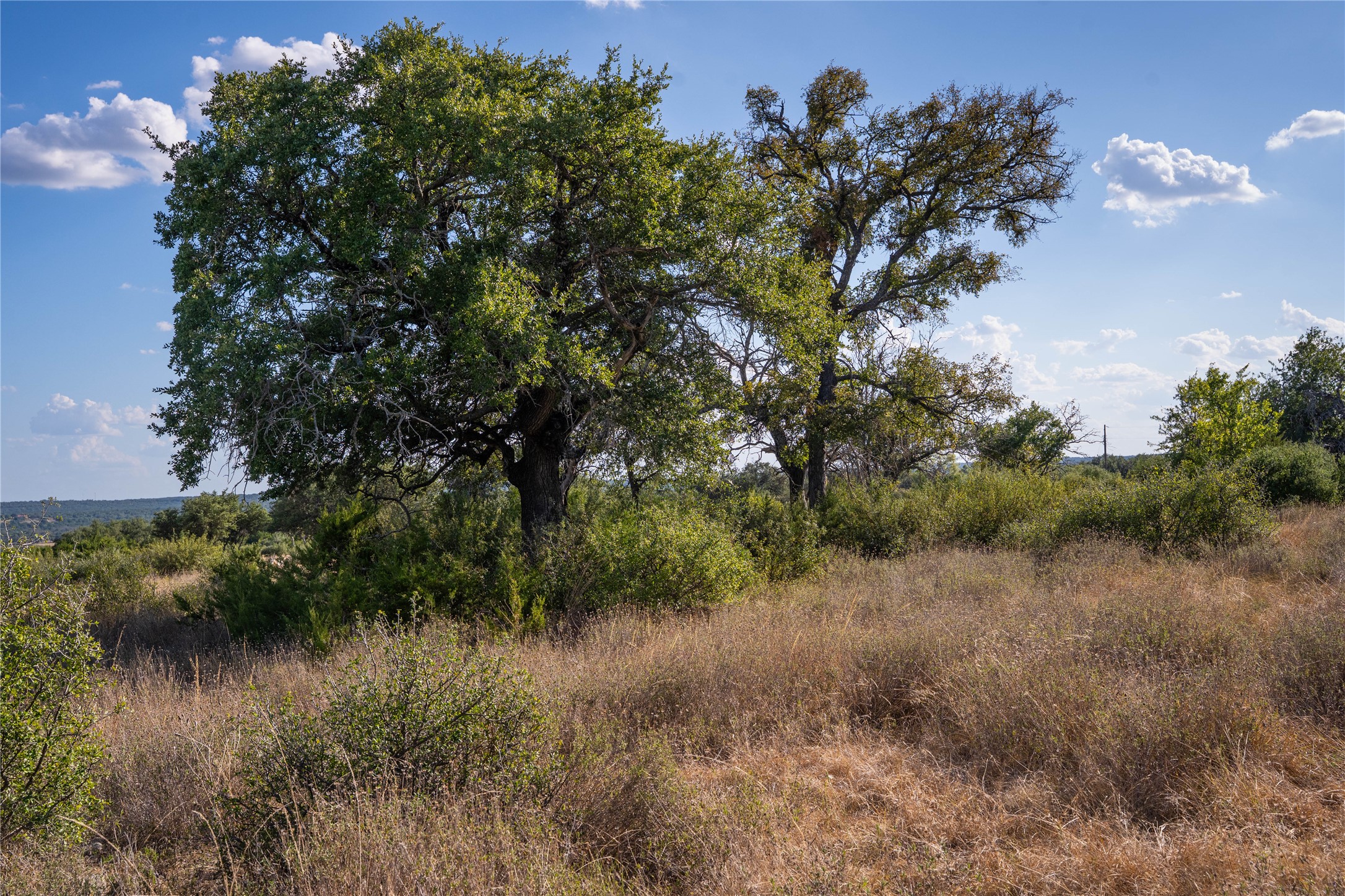 4719 Private Road, Unit 4718 Kempner, TX 76539 - Photo 14 of 38 Large Oaks and Cedars