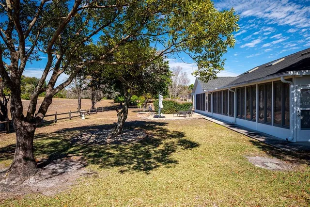 a view of a yard with plants and a tree