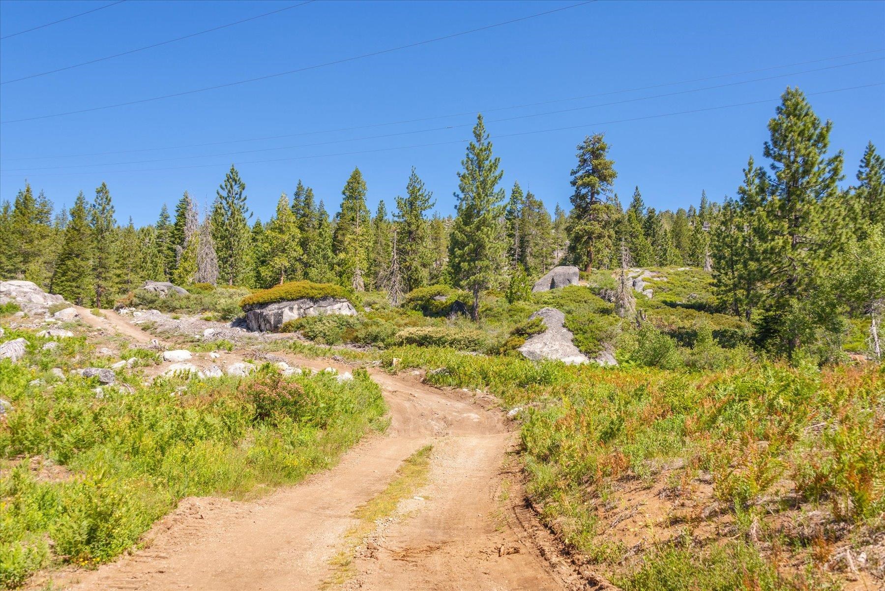 0 Hampshire Rocks Road Emigrant Gap, CA 95715 - Photo 14 of 27 a view of a yard with trees