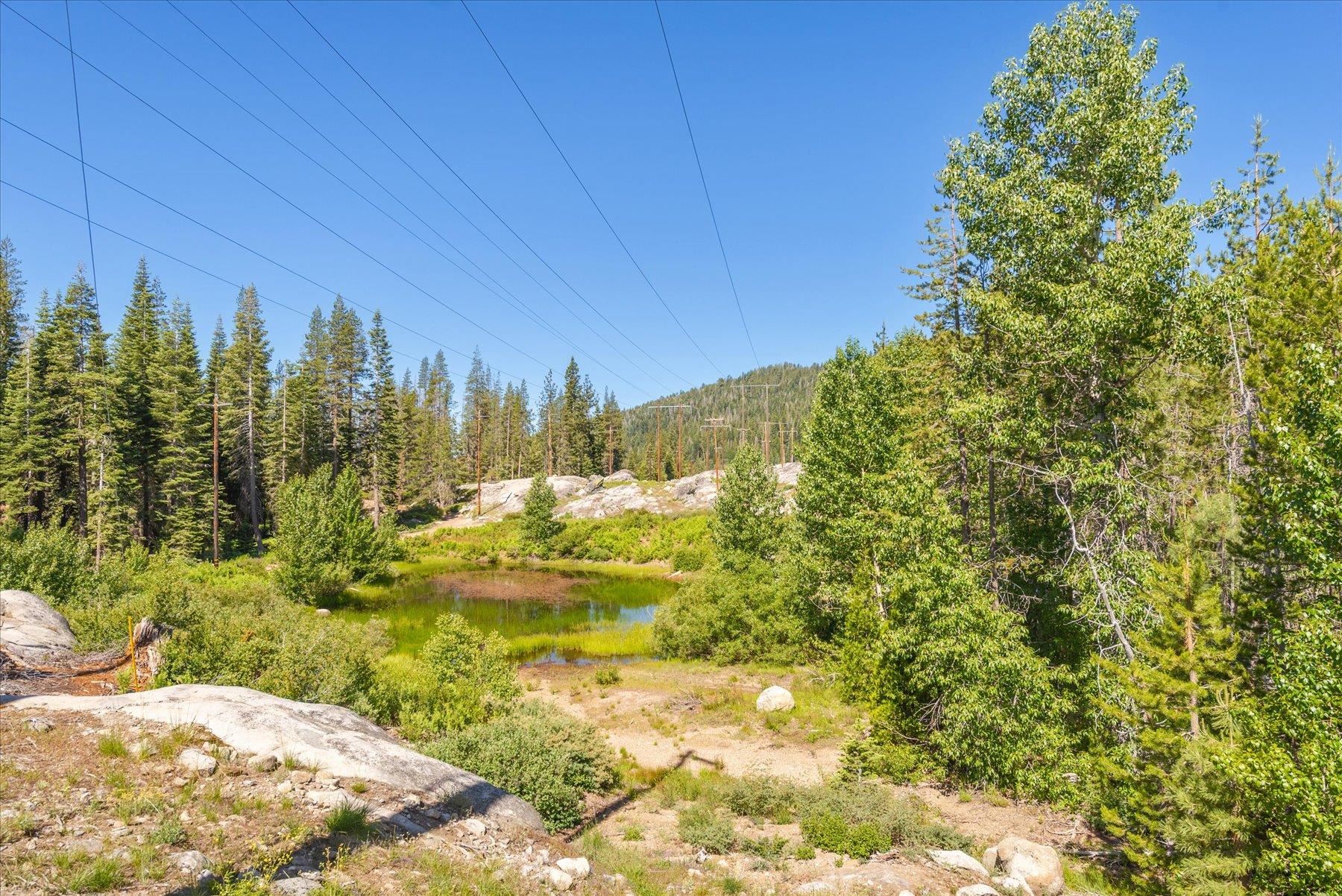 0 Hampshire Rocks Road Emigrant Gap, CA 95715 - Photo 15 of 27 a view of a yard with swimming pool