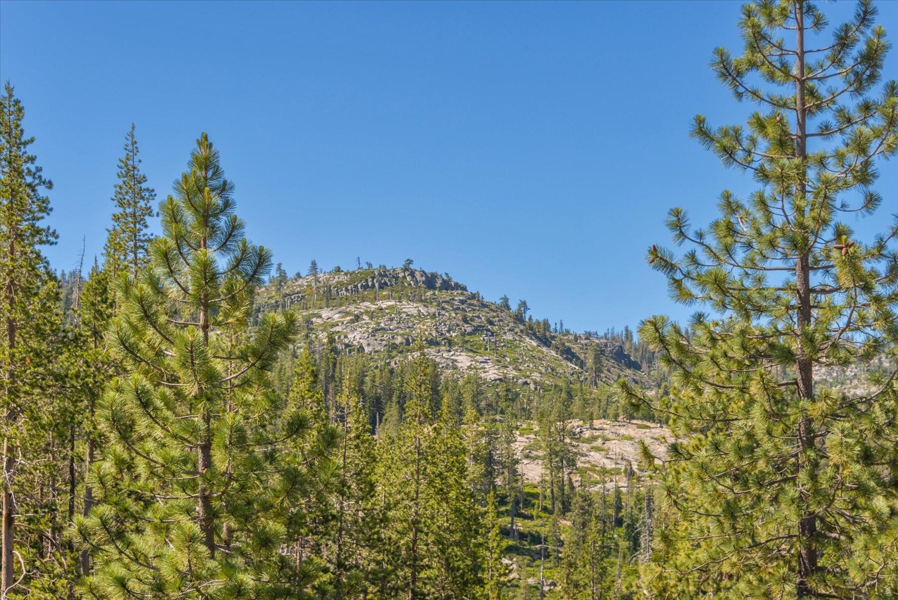0 Hampshire Rocks Road Emigrant Gap, CA 95715 - Photo 17 of 27 a view of a large tree with a tree in the background