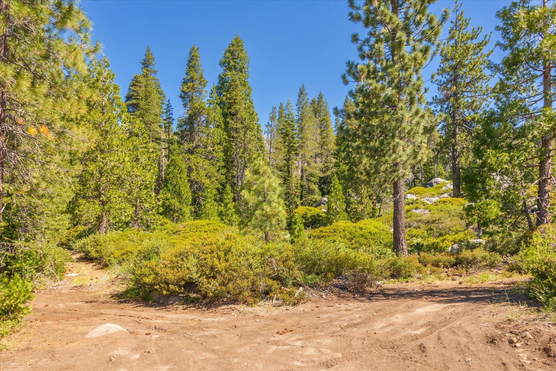0 Hampshire Rocks Road Emigrant Gap, CA 95715 - Photo 19 of 27 a view of a yard with trees