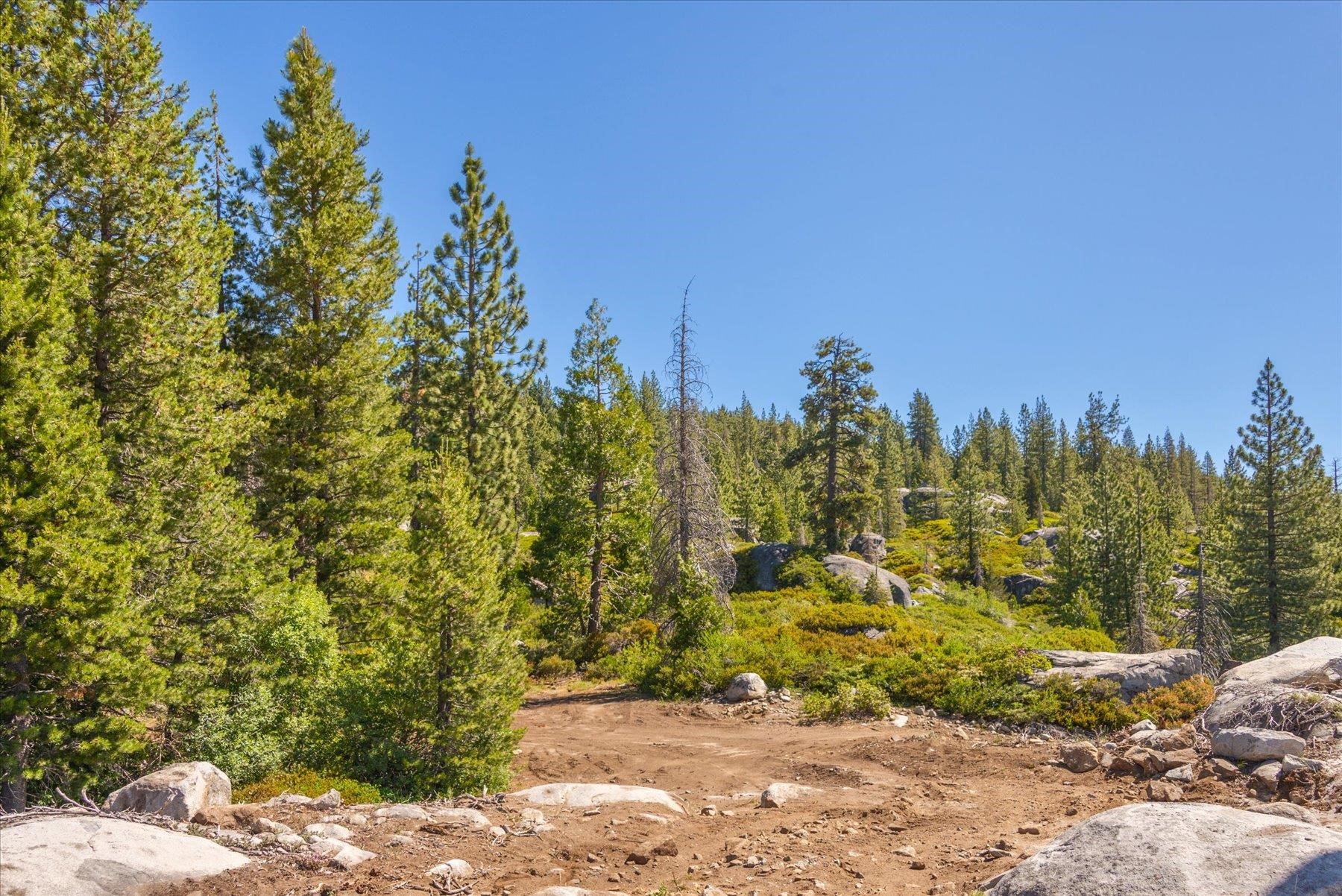 0 Hampshire Rocks Road Emigrant Gap, CA 95715 - Photo 20 of 27 a view of a pathway with a tree in the background