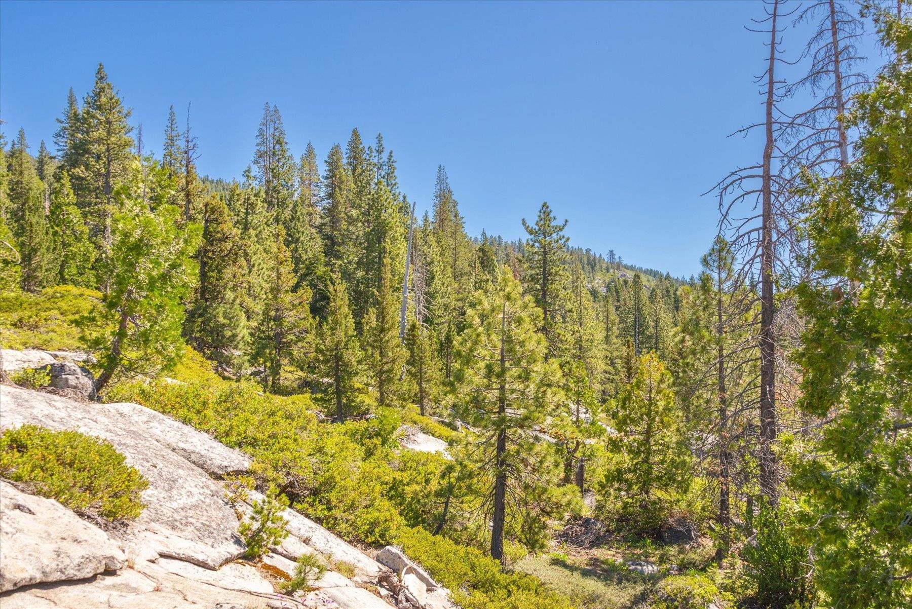 0 Hampshire Rocks Road Emigrant Gap, CA 95715 - Photo 21 of 27 a view of a multi story yard