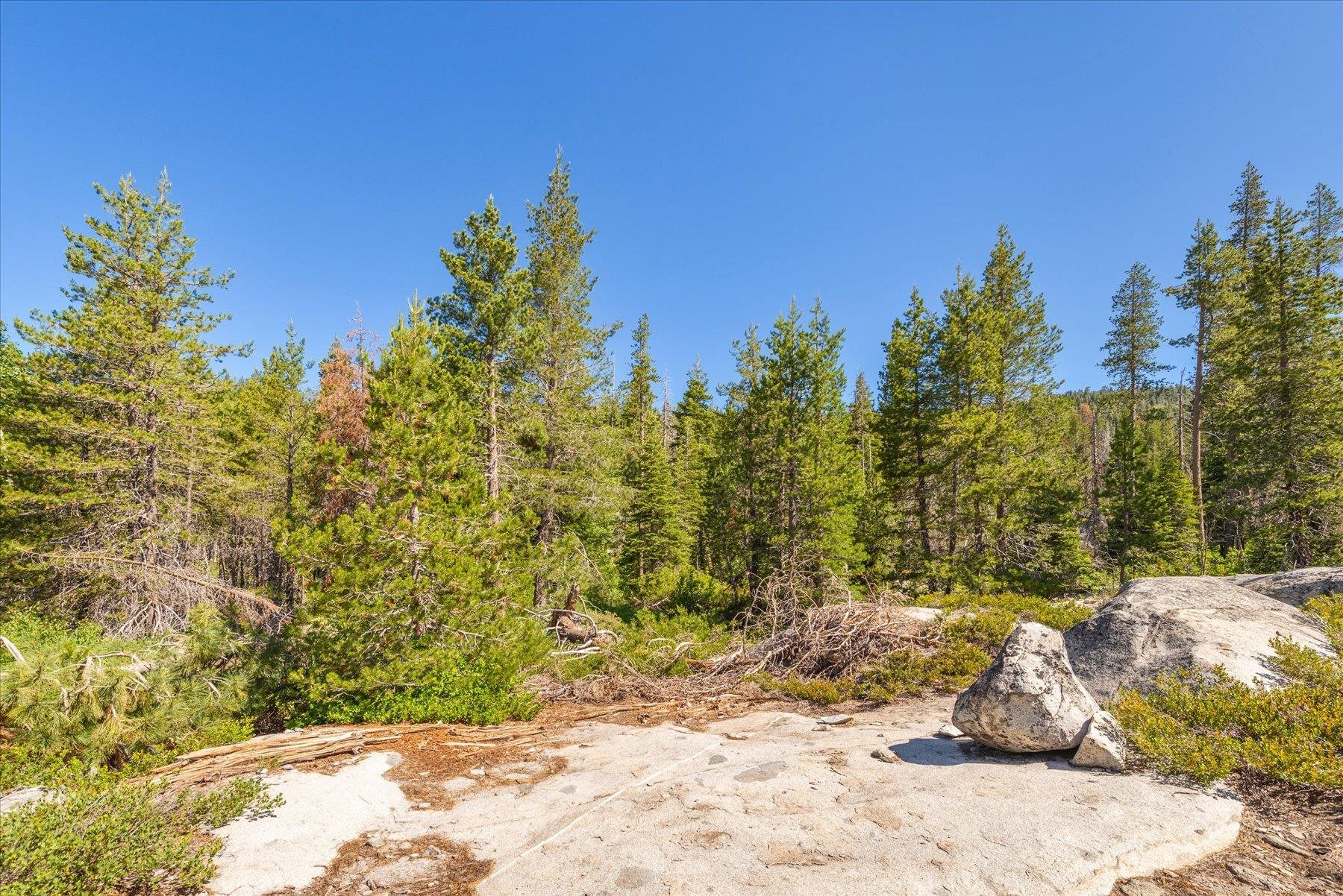 0 Hampshire Rocks Road Emigrant Gap, CA 95715 - Photo 23 of 27 a backyard of a house with large trees