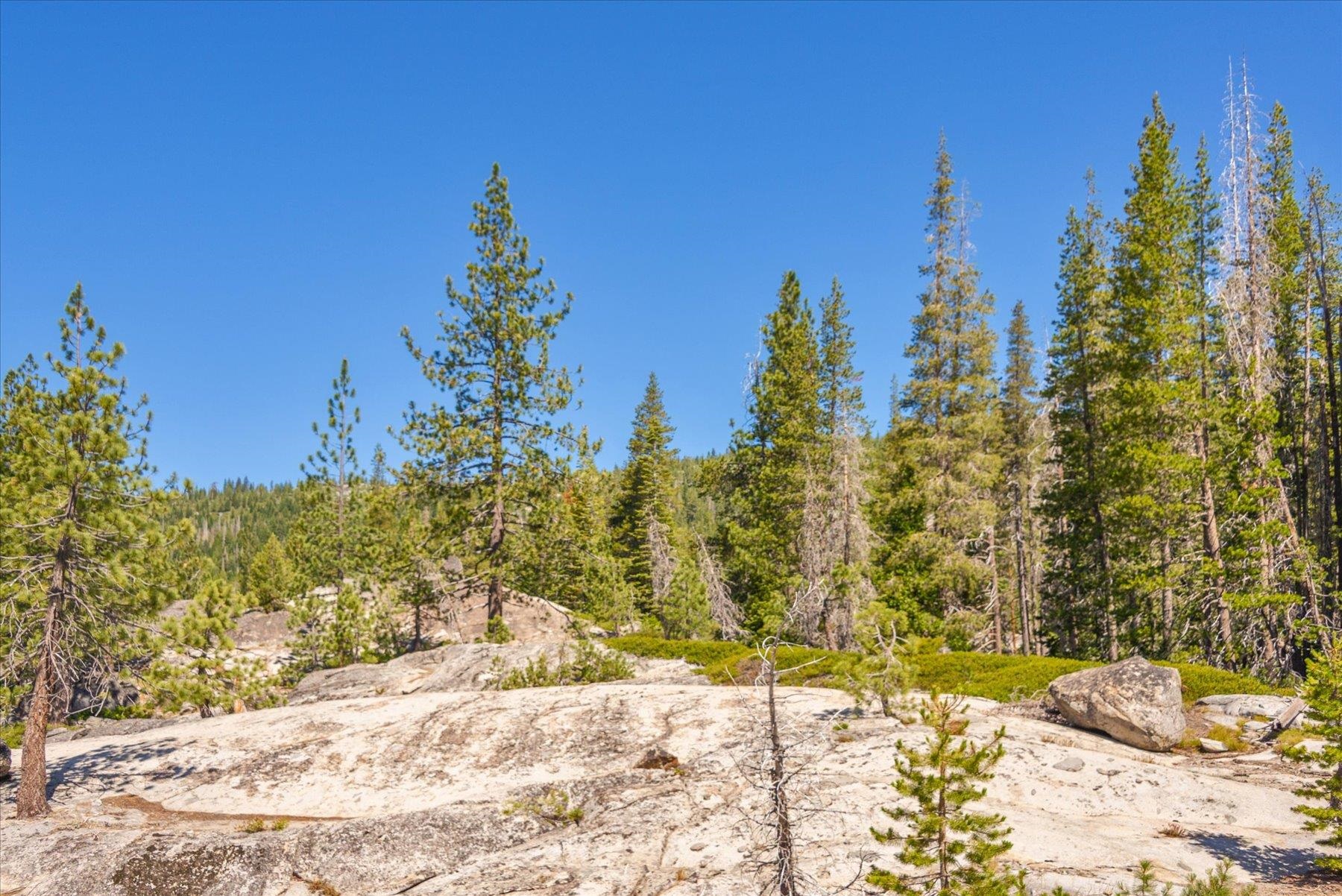 0 Hampshire Rocks Road Emigrant Gap, CA 95715 - Photo 26 of 27 a view of a yard along with trees