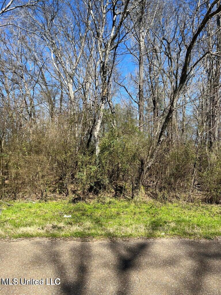 Cobbville Road Canton, MS 39046 - Photo 8 of 11 20250226215848006842000000-o