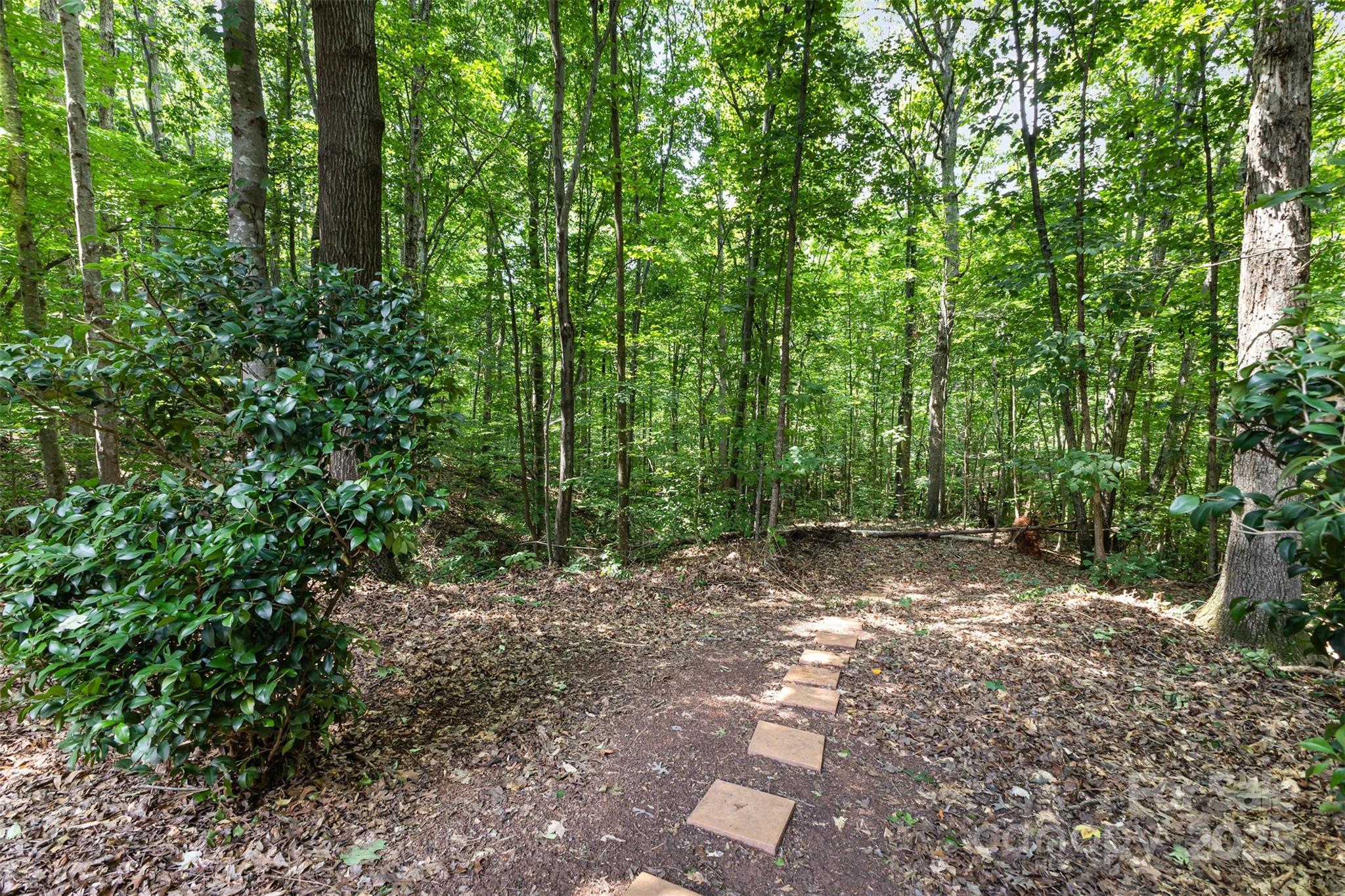 689 Presbyterian Road Mooresville, NC 28115 - Photo 34 of 34 a view of a forest with trees in the background
