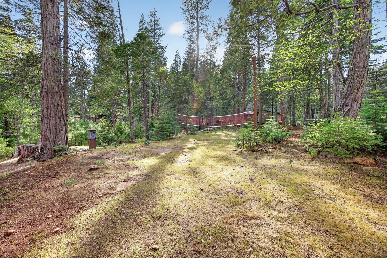 1224 Moran Road Arnold, CA 95223 - Photo 48 of 61 a view of a field with trees in the background