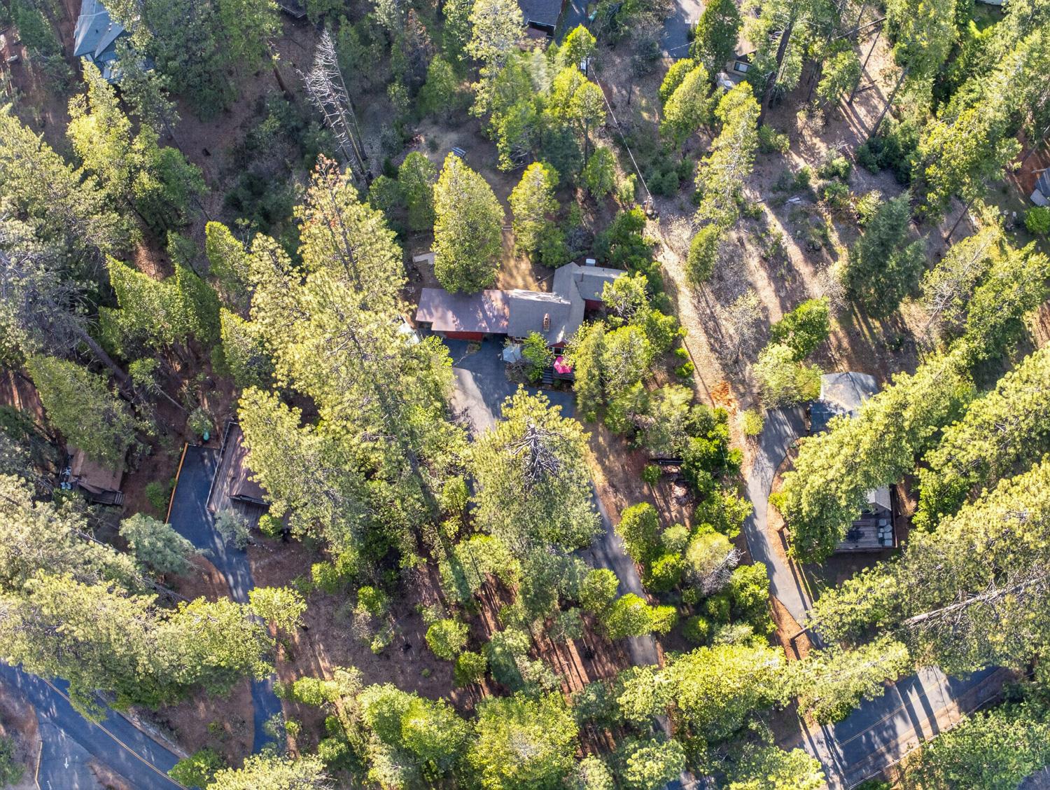 1224 Moran Road Arnold, CA 95223 - Photo 52 of 61 a view of a house with a tree