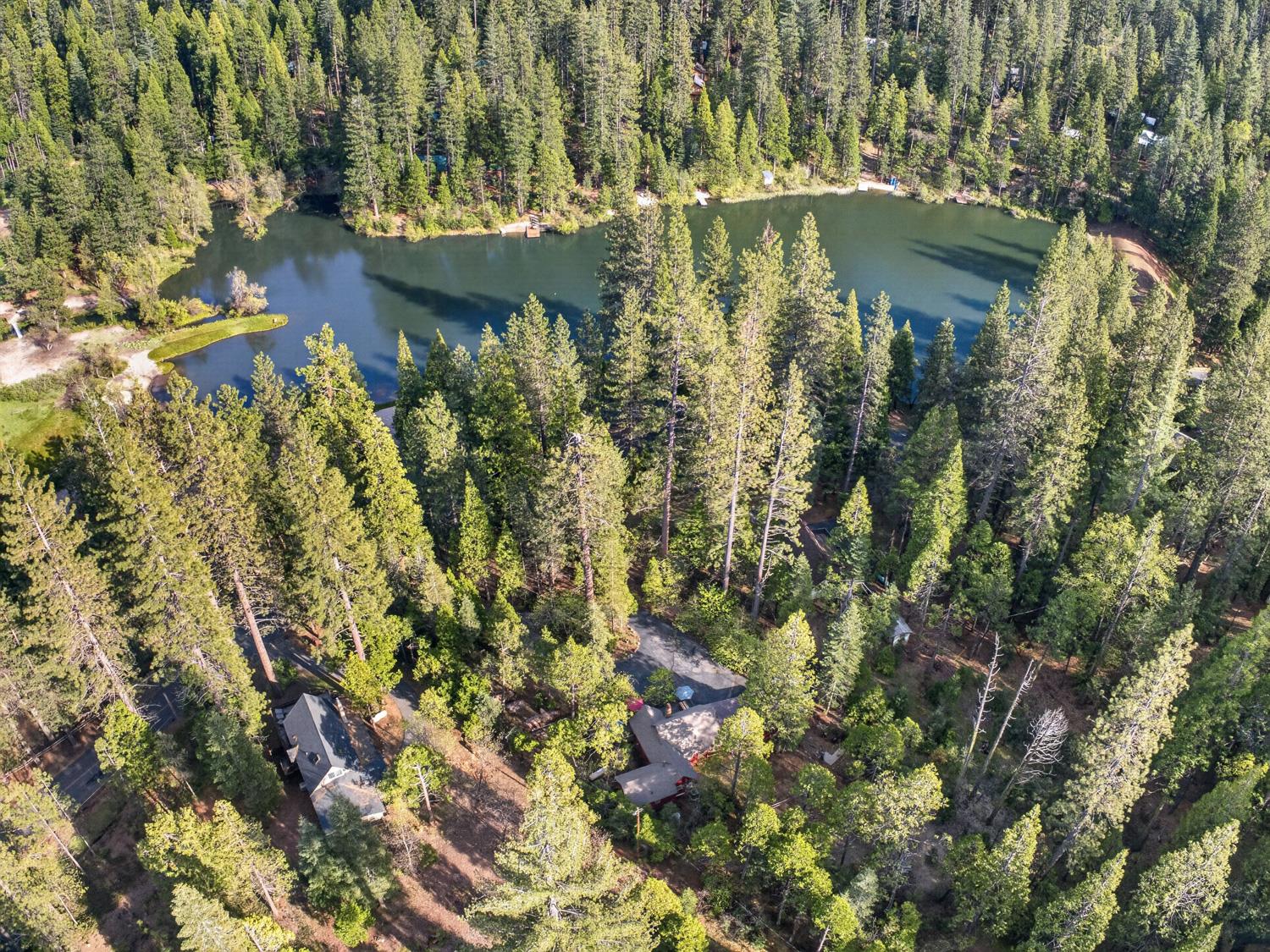1224 Moran Road Arnold, CA 95223 - Photo 54 of 61 an aerial view of residential house with outdoor space and trees all around