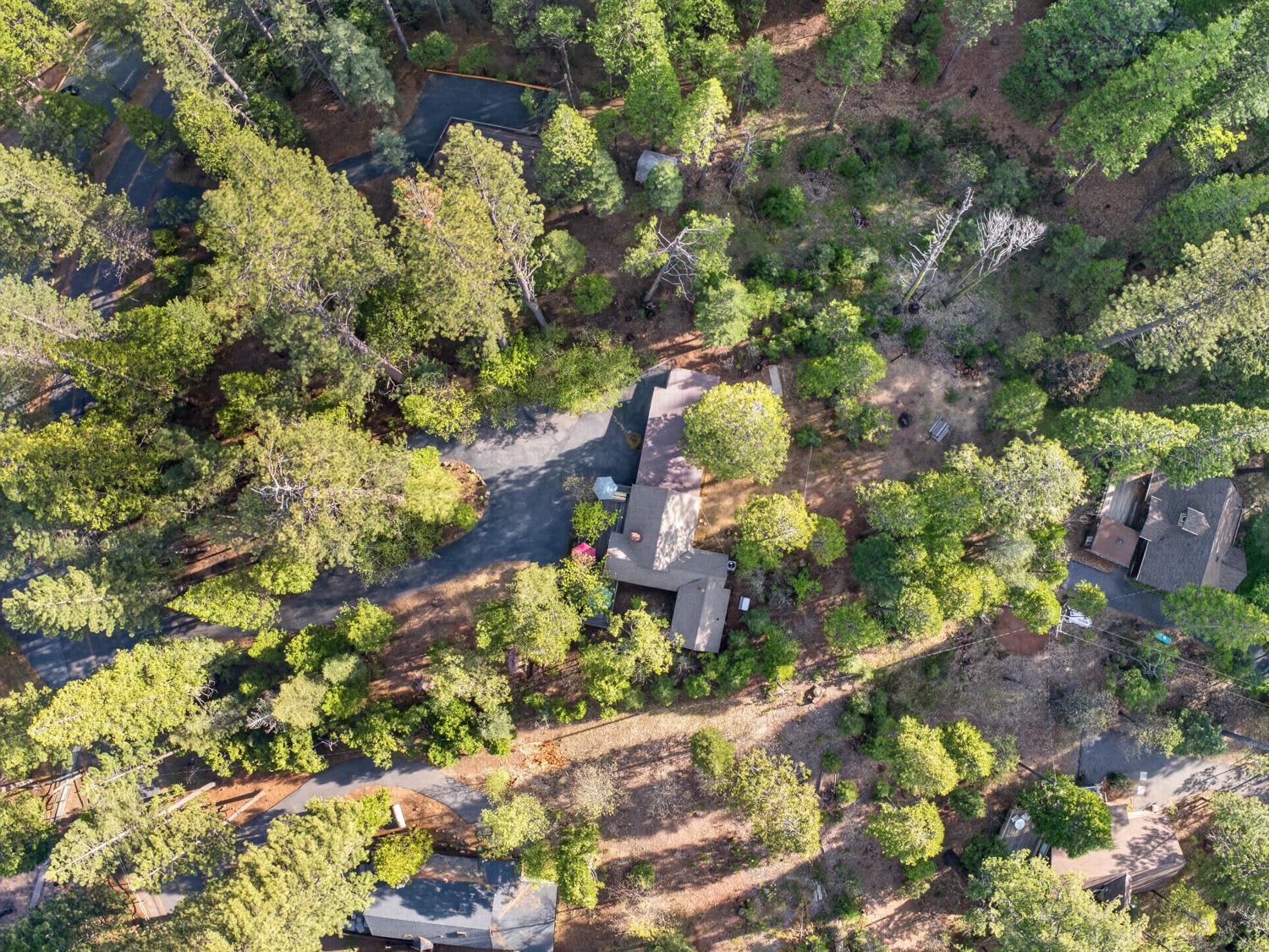 1224 Moran Road Arnold, CA 95223 - Photo 58 of 61
