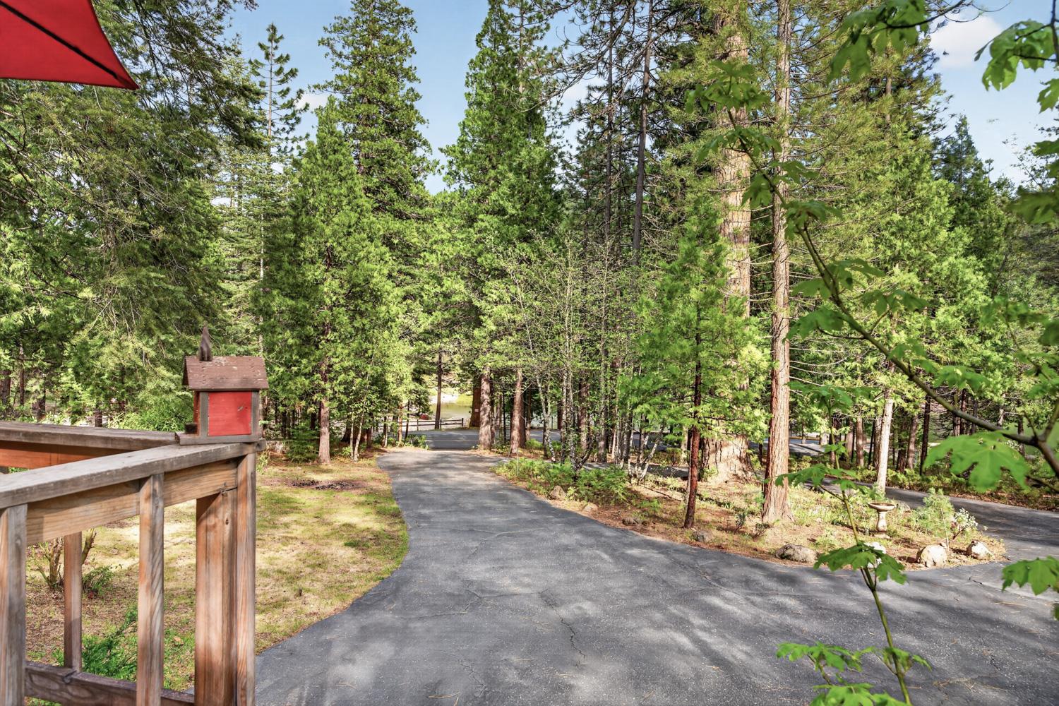 1224 Moran Road Arnold, CA 95223 - Photo 9 of 61 Plenty of parking on circular driveway